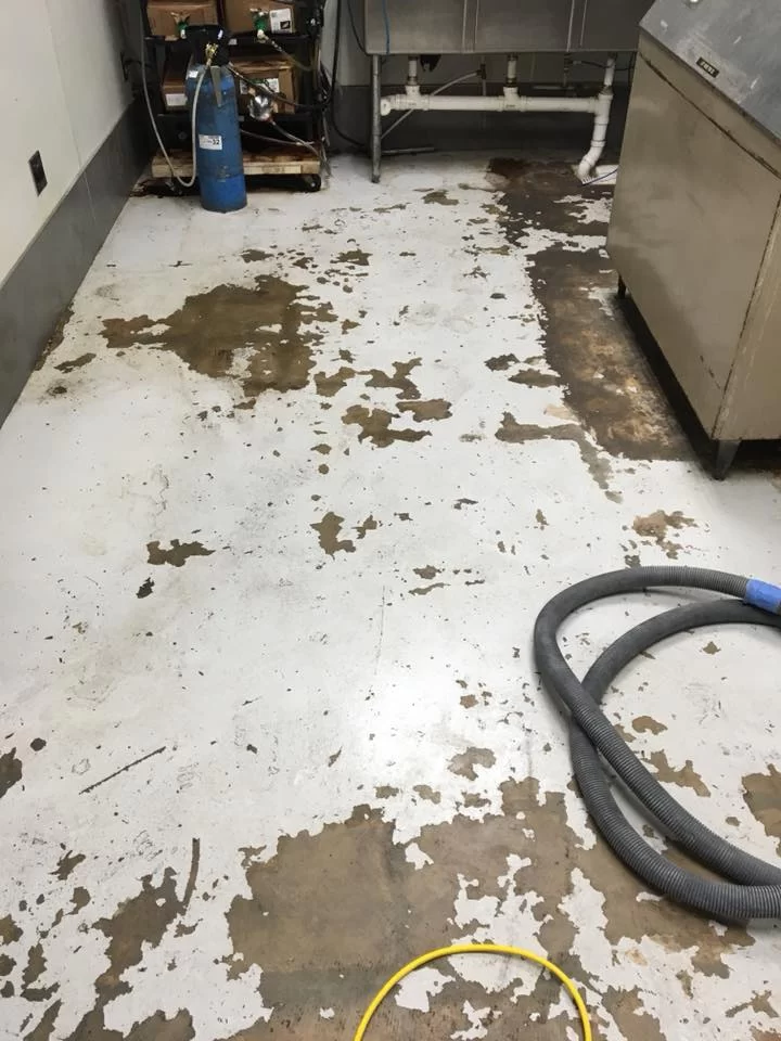 Business 8 Commercial Floor Before Croc Coatings