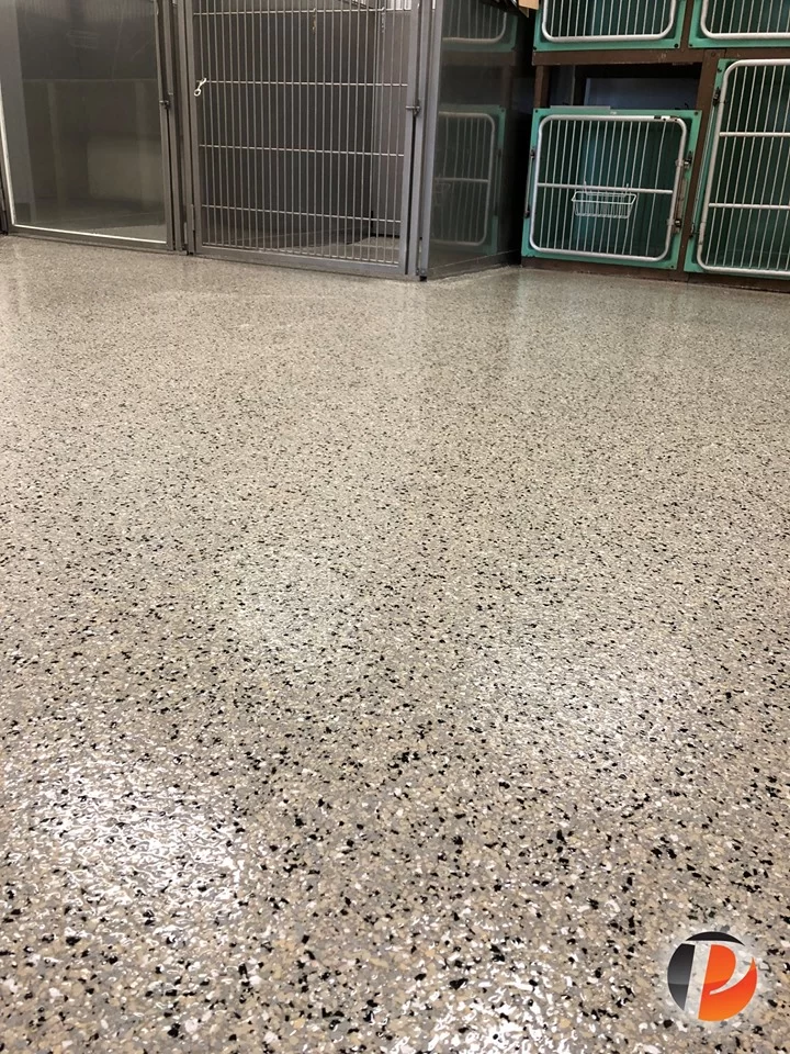 Business 11 Kennel After Croc Coatings