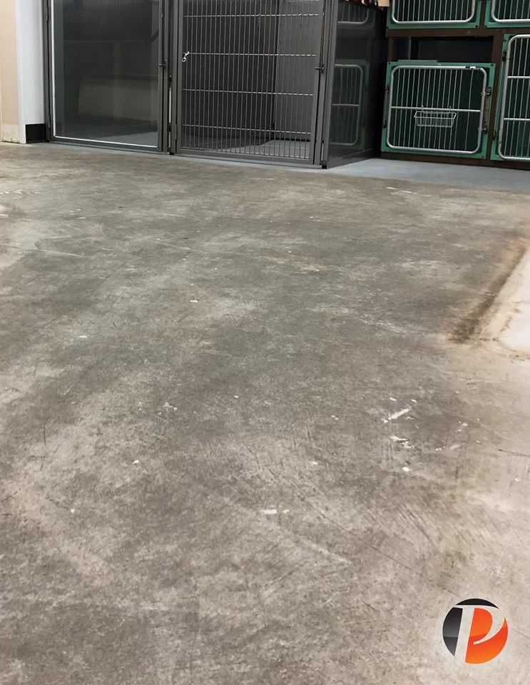 Business 10 Kennel Before Croc Coatings