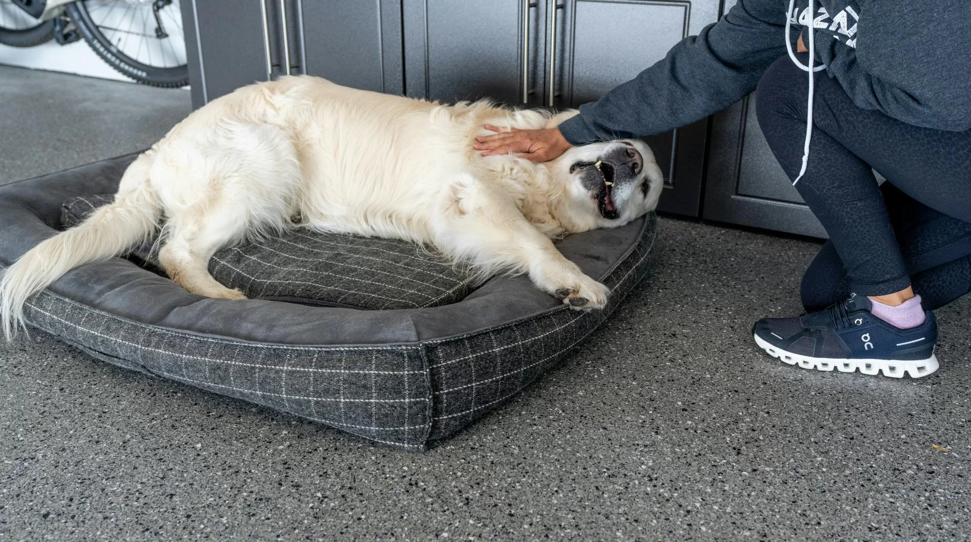 How Polyurea Coatings Reduce Environmental Impact